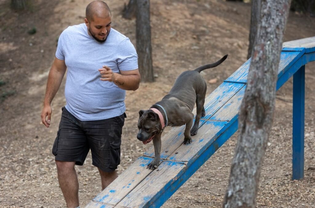 Online Puppy Training
