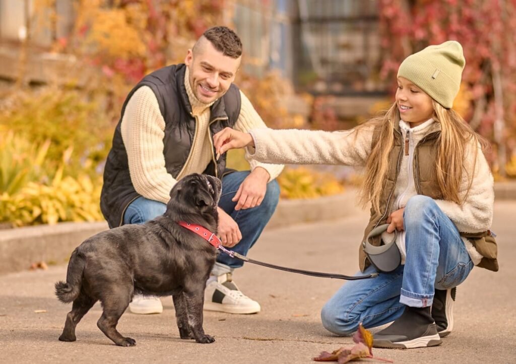 puppy obedience training online