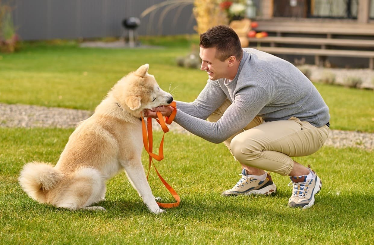 PetSmart Puppy Training