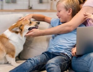 Puppy training at home