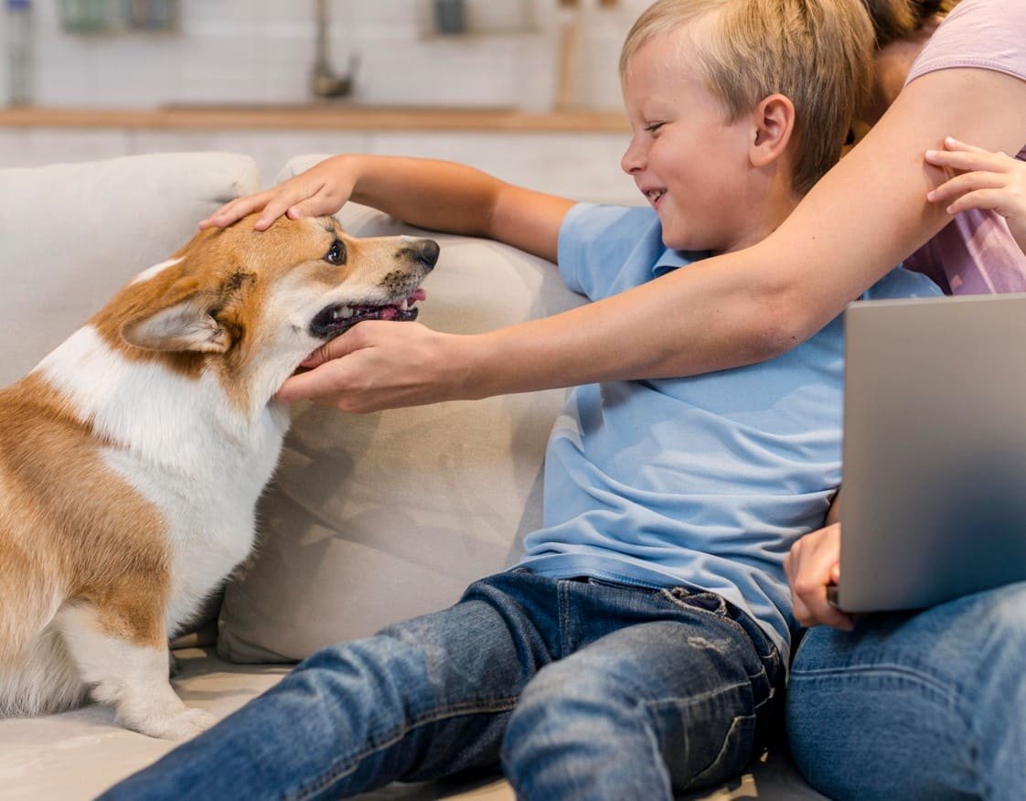 Puppy training at home